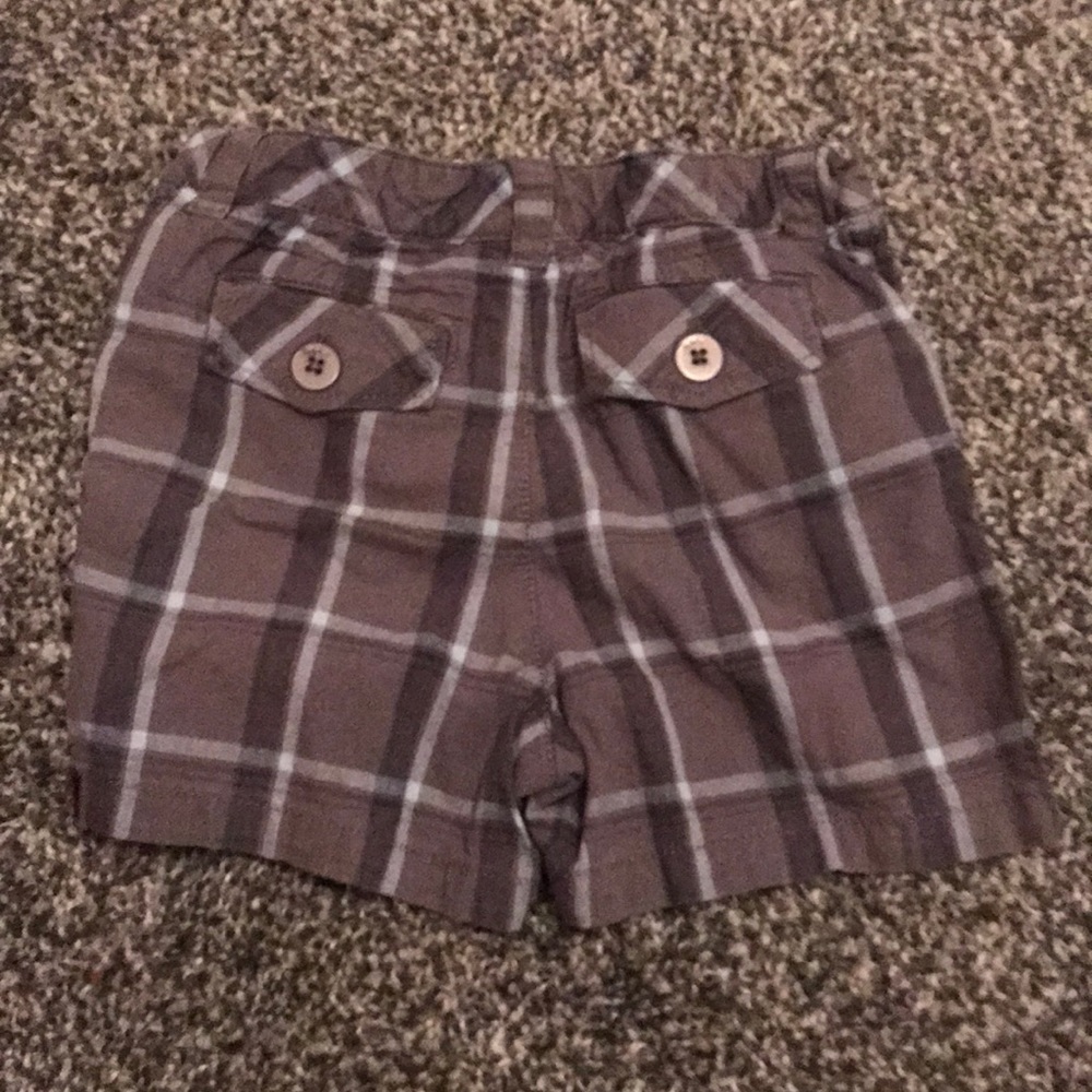 Hawk Shorts - Picture 2 of 4